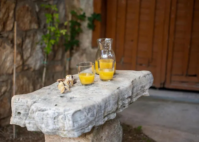 Paris 펜션 포레치